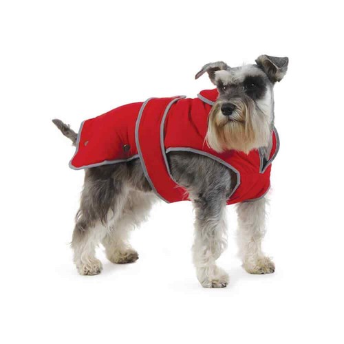 Ancol muddy paws dog puppy - muddy,