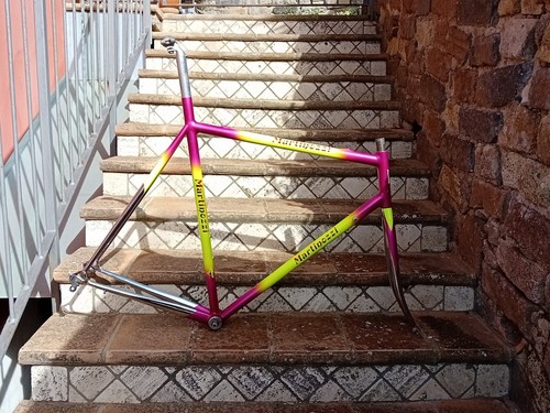 Moser leader evolution - leader,