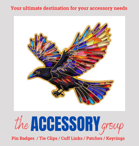 New beautiful flying bird crow - flying,