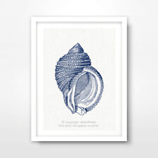 VINTAGE SHELL ILLUSTRATION