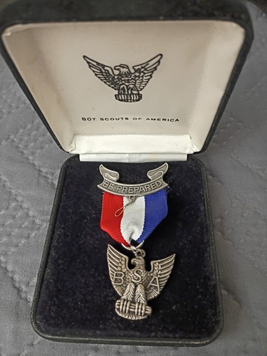 Boy scout eagle medal - scout,