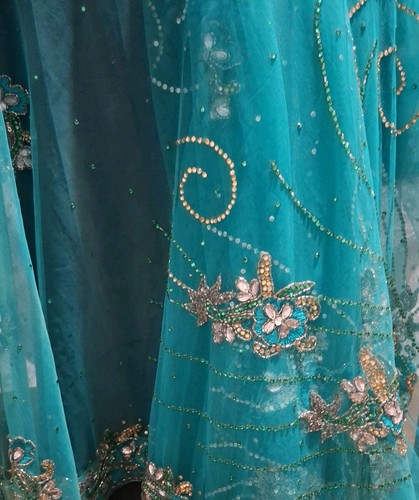 Indian net saree without - net,