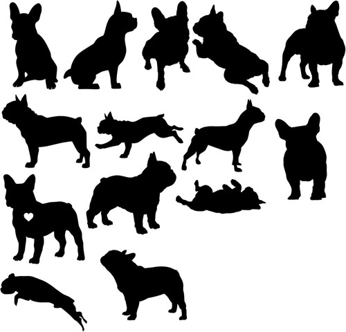 French bulldog breeds - bulldog,