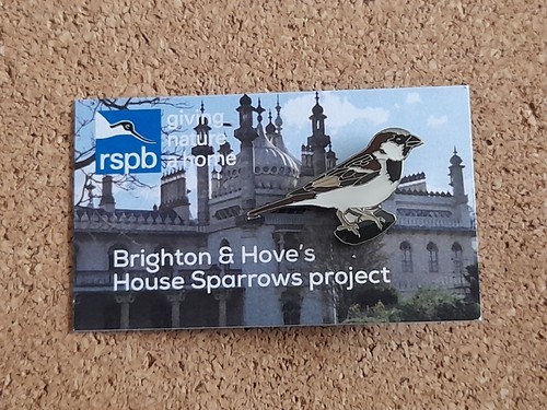 Rspb house sparrow project - house,