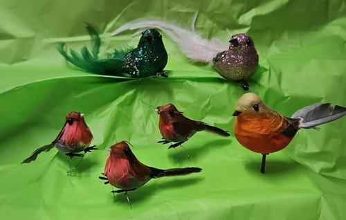 Feather birds robins - feather, robins..doves
