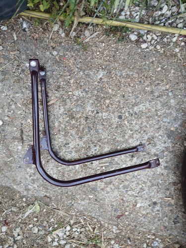 Genuine ariel colt - , rear