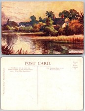 New Forest Hampshire Lakeside Cottages Postcard