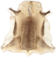 TOP REINDEER FUR REINDEER FUR