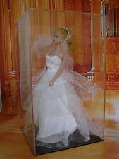 acrylic display case for