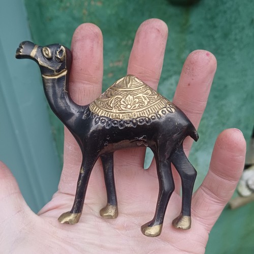 Camel brass ornament - camel,