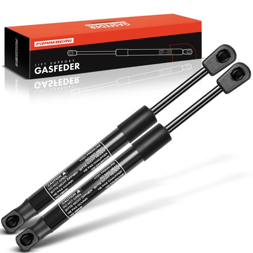 Premium tailgate gas - 2x,