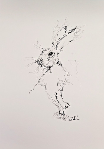 Original hare scribble - original,