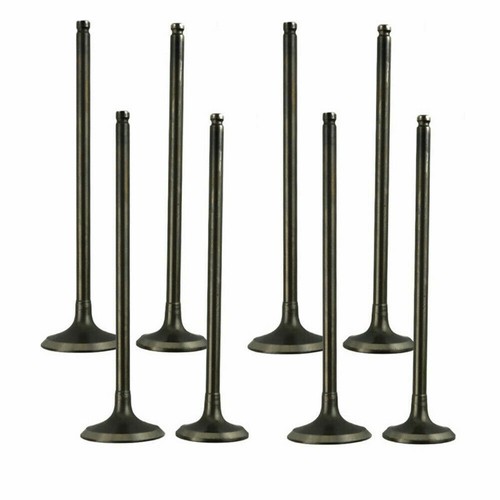 Pairs intake exhaust valves - intake,