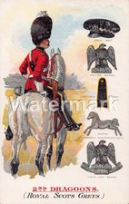 1134. British Army. 2nd