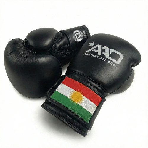 Kurdistan boxing gloves aao - boxing,