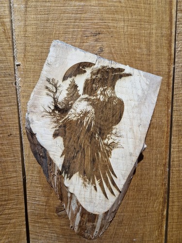 Live edge hornbeam rustic wall - live,