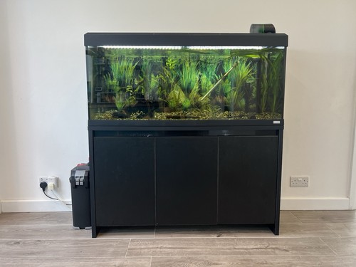 Fluval 240 litre 4ft aquarium - fluval,
