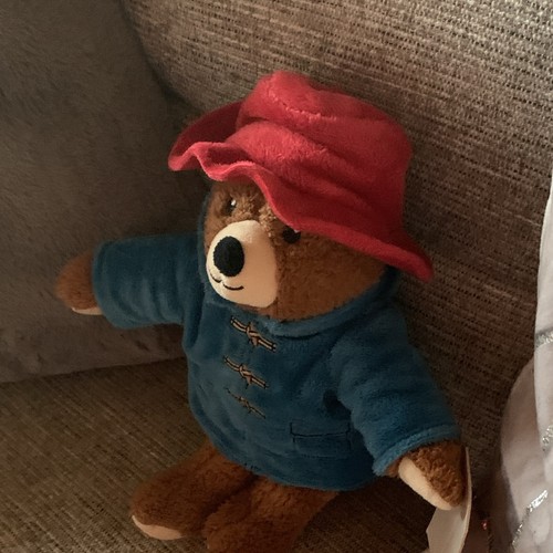 Paddington bear plush - paddington,