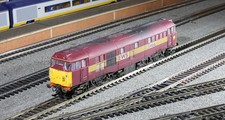 Hornby R3262 BR Class 31 31466