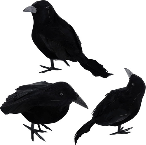 Pack halloween crows - pack,