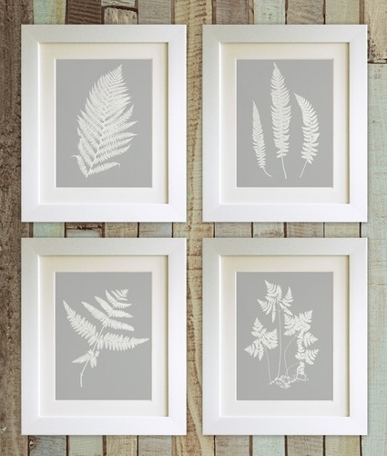 Set fern prints 5 x7 - of, 4