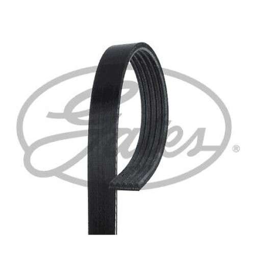 5pk738 gates ribbed - belt, for