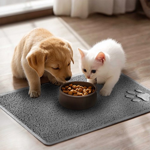 Cat dog food - mat, pet