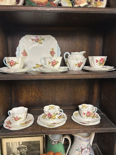 Shelley begonia set 6 - set, of