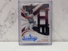 A Panini Immaculate Angel
