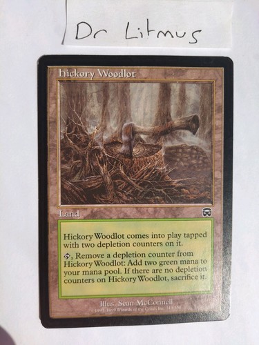 Hickory woodlot mercadian - woodlot,