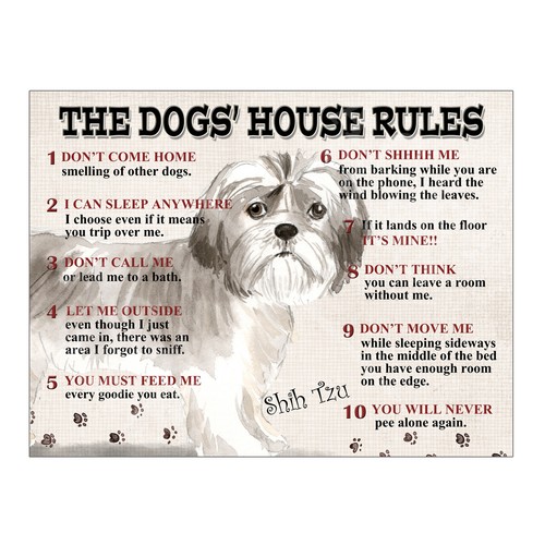 The dogs house - dogs, tzu