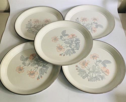Large dinner plates - dinner,