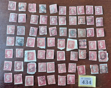 65+ x QV Penny Reds Stars