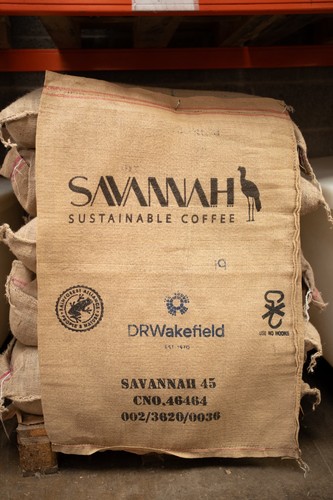 One brazilian savannah - brazilian,
