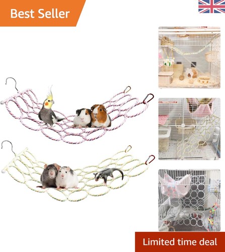 Interactive small animal - animal, rope