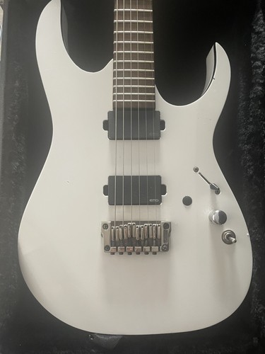 Ibanez rgir20fe iron label - ibanez,