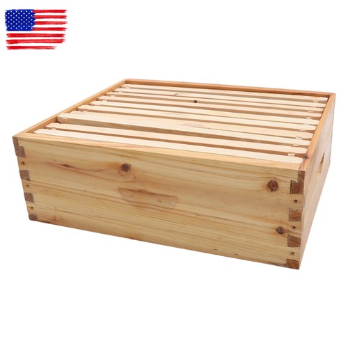 Frame beehive with - beehive,