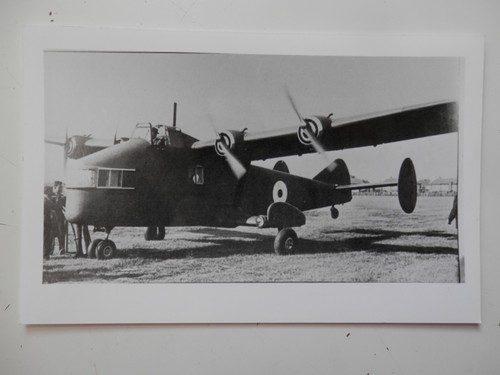 Black white photo - white, general