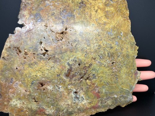 Large moss agate - agate, geode
