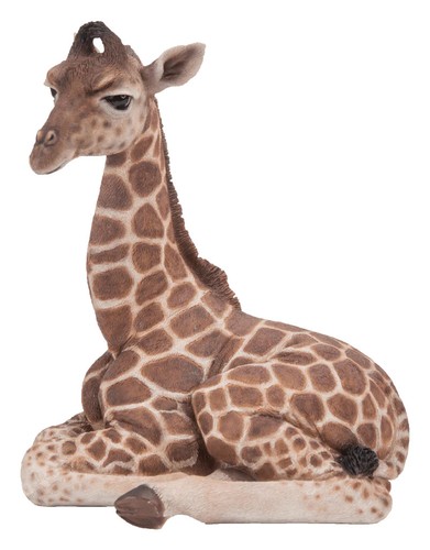 Vivid arts pet pal - arts, baby