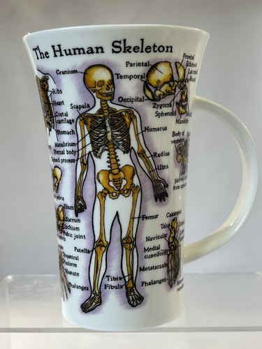 Dunoon the human body - human, by