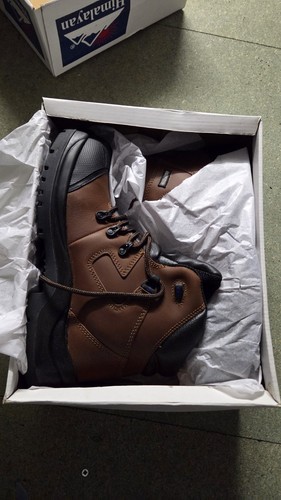 Himalayan 5161 src - s3, brown