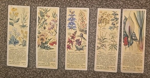 Vintage 1935 wild flowers - vintage:,