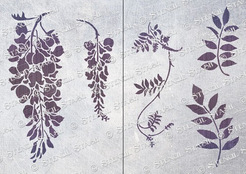 Wisteria flowers leaves - flowers, &