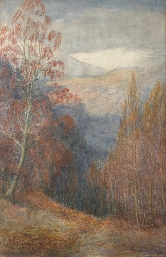 Florence wilmott original - florence,