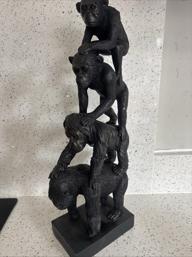 New evolution primates - evolution,