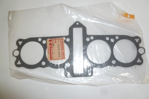 Kawasaki new oem cylinder - new,