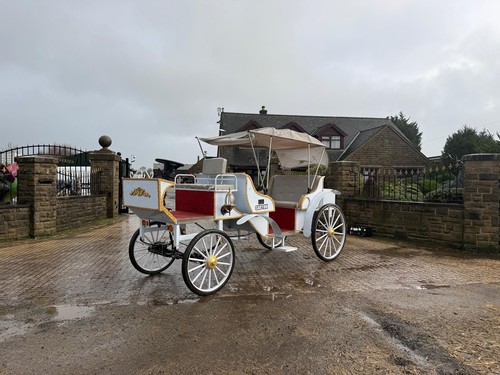 2025 captok horse drawn - 2025,
