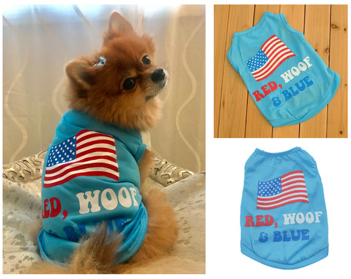 Cute summer various pet puppy - pet,