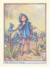 Scilla Fairy by Cicely Mary